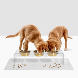 Medium Triple Dog Bowl Feeder With Gold Bowls