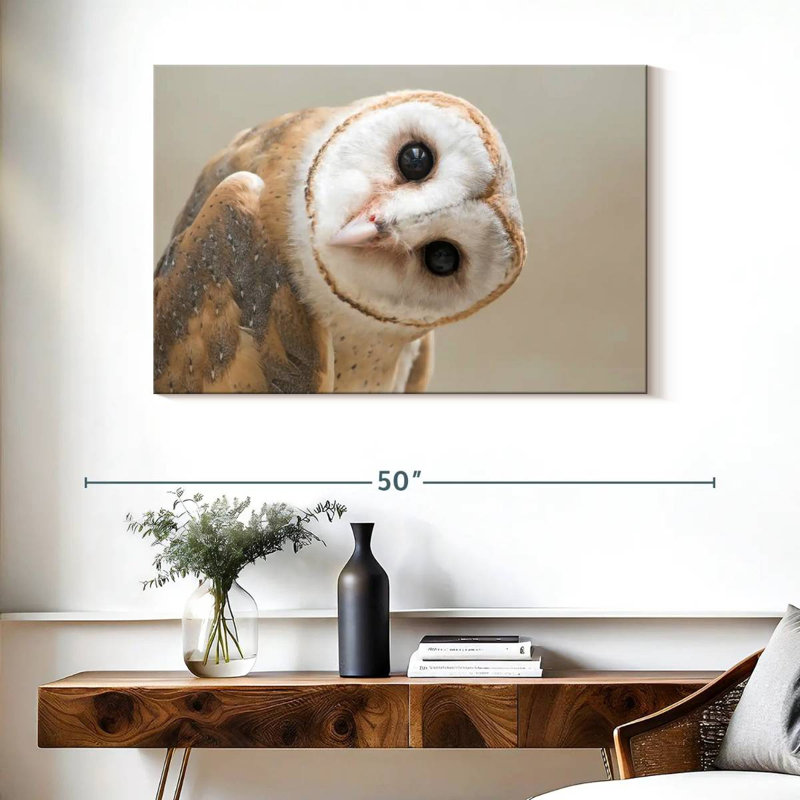Brampt Barn Owl Gaze, 26" H x 39" W