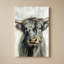 Vache Highland-1108431435-1108431441