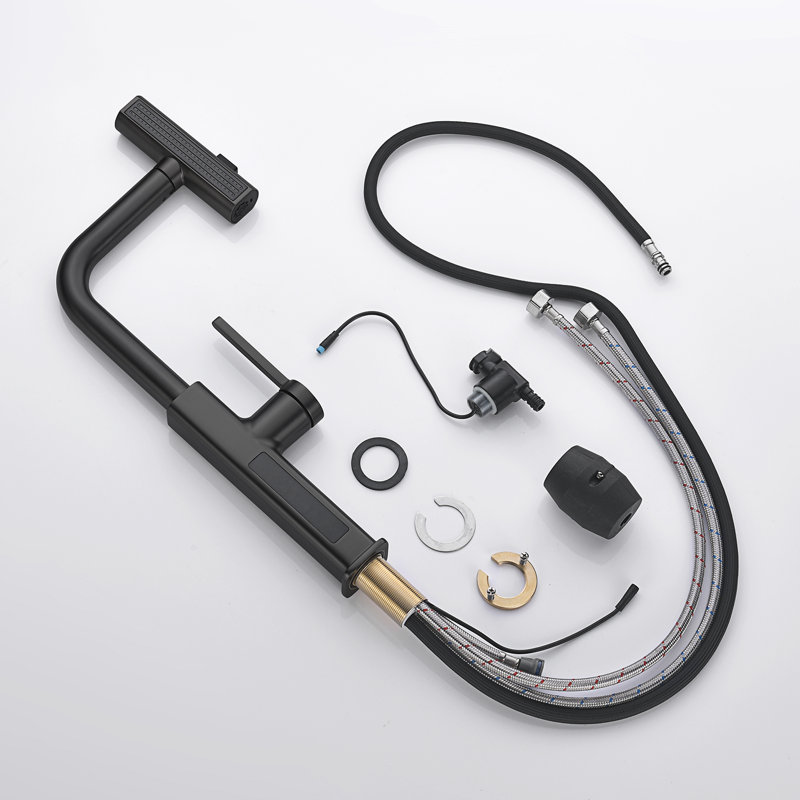 Single Handle Kitchen Faucet with Accessories, Black