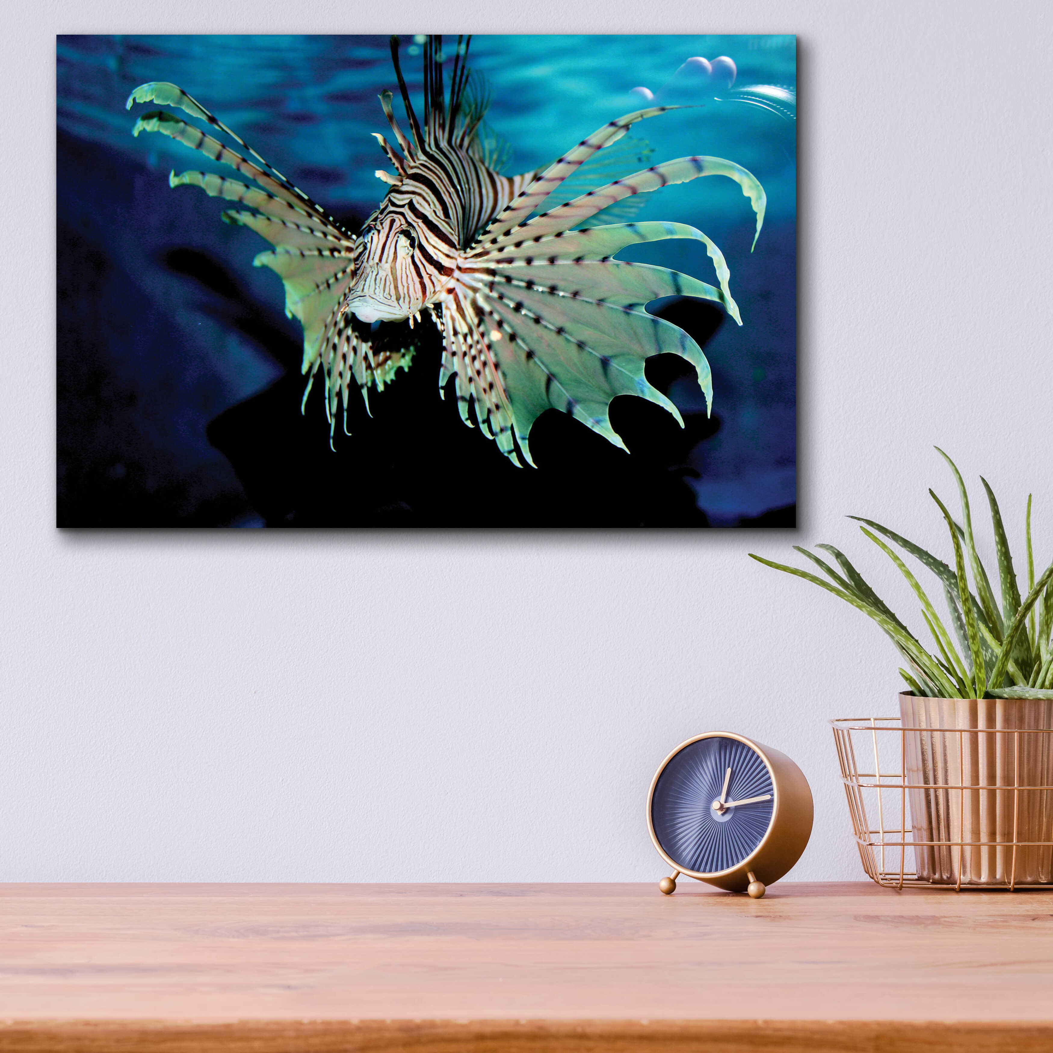 Dovecove BOO by - Unframed Print | Wayfair
