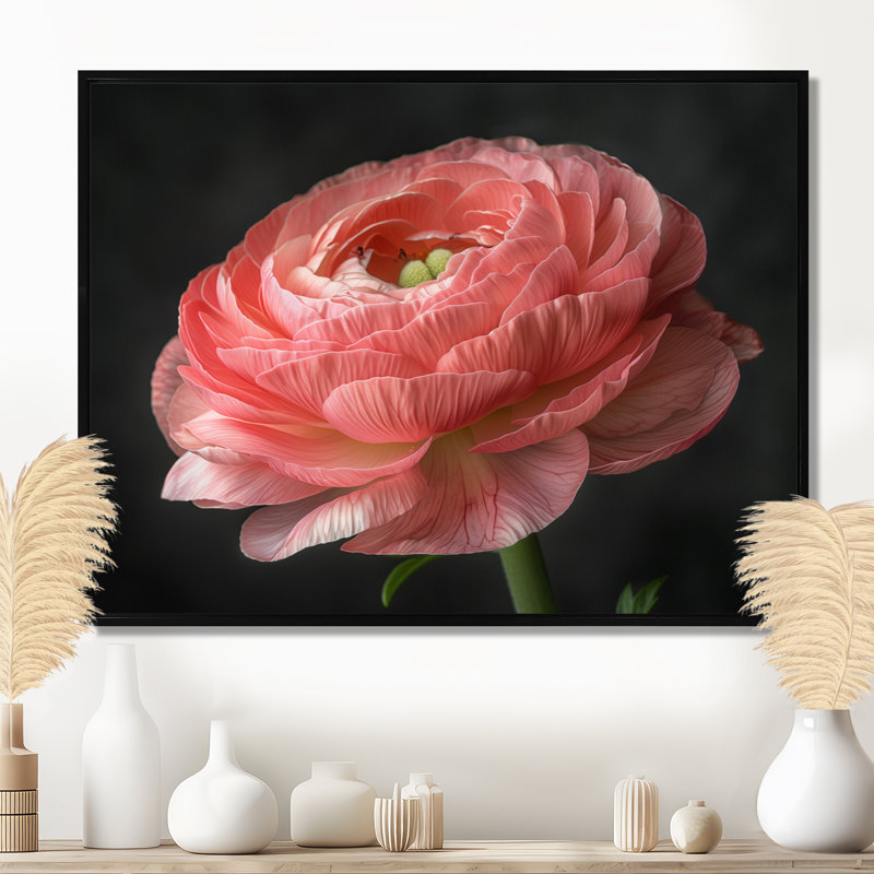 Décoration murale monochrome Ranunculus Frozen Beauty II - Renoncule, Cadre flottant noir, H 24 po x l 32 po