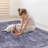 Washable Rug 2' X 3' Doormat Rug-1848949797