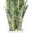 Snake Plant Arranged in a Fiberstone Pot