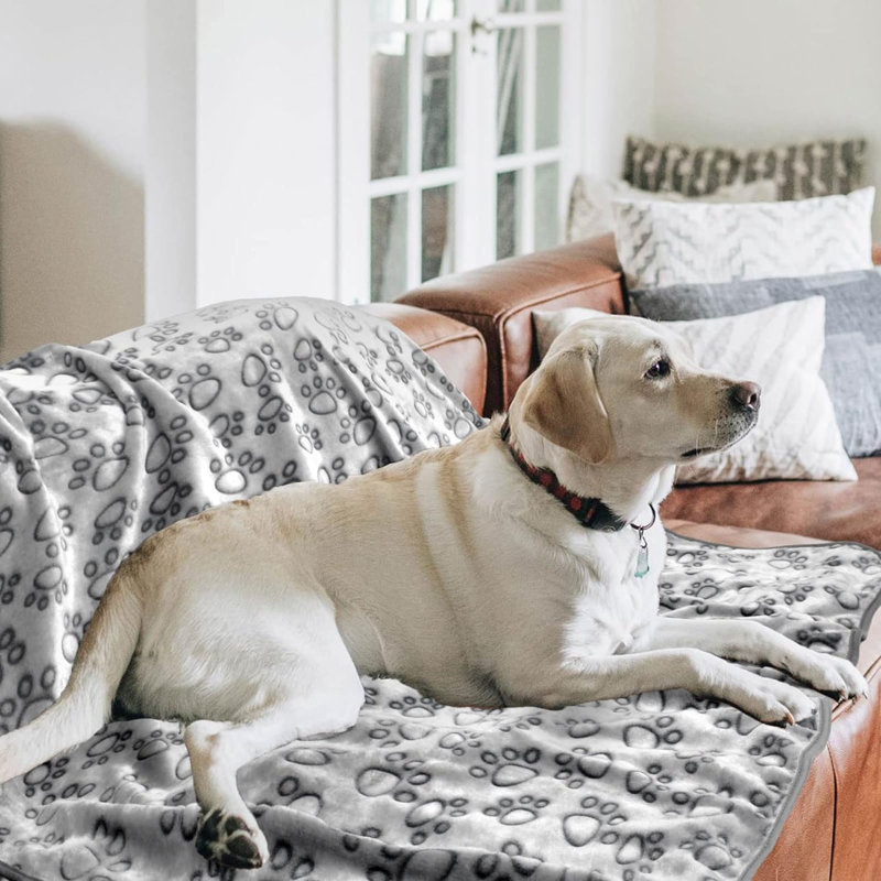 Fleece / Microfiber Pet Blanket, Blue