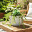 Pottery And Cement Planter With Unique Multi-Loop Handle Design Stylish Contemporary Accent-1802735282-1802735280