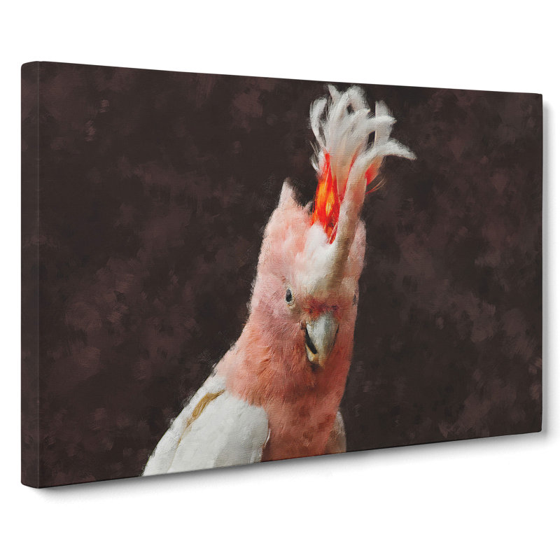 Cockatoo Bird Vol.1 - Wrapped Canvas, 35cm H x 50cm W x 3cm D