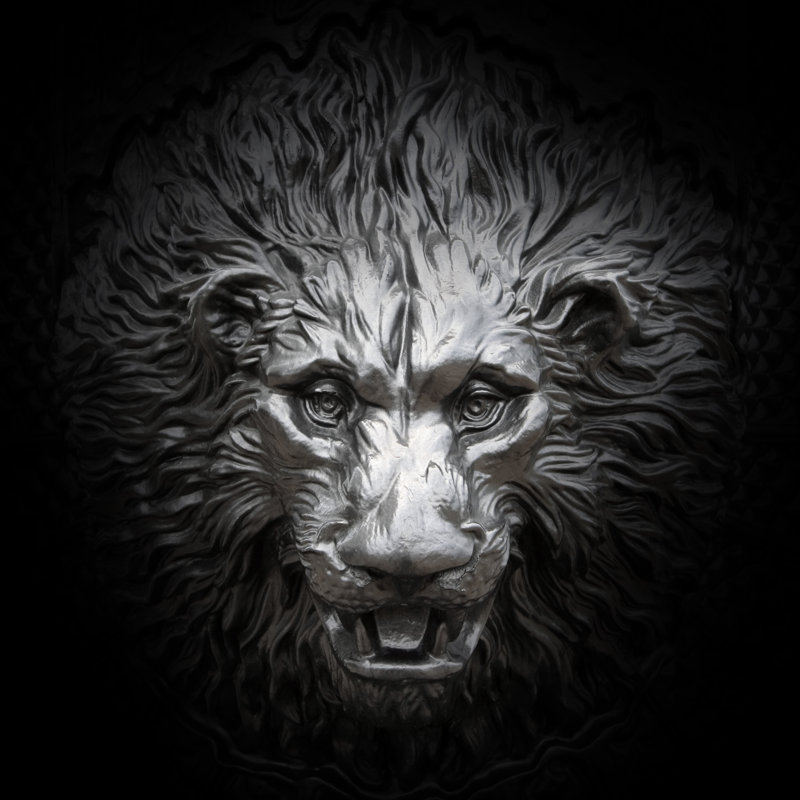 Relief Of A Lion Head by TommL - No Frame Art Prints on Canvas, 76cm H x 76cm W