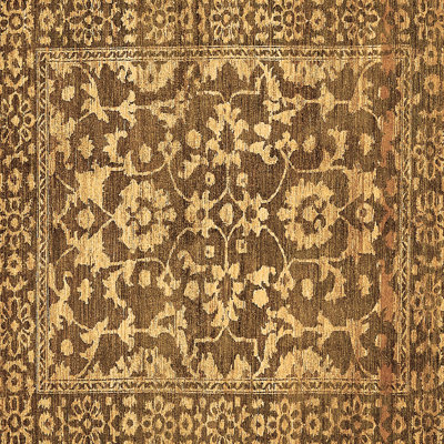 Lainhart Oriental Indoor Rug