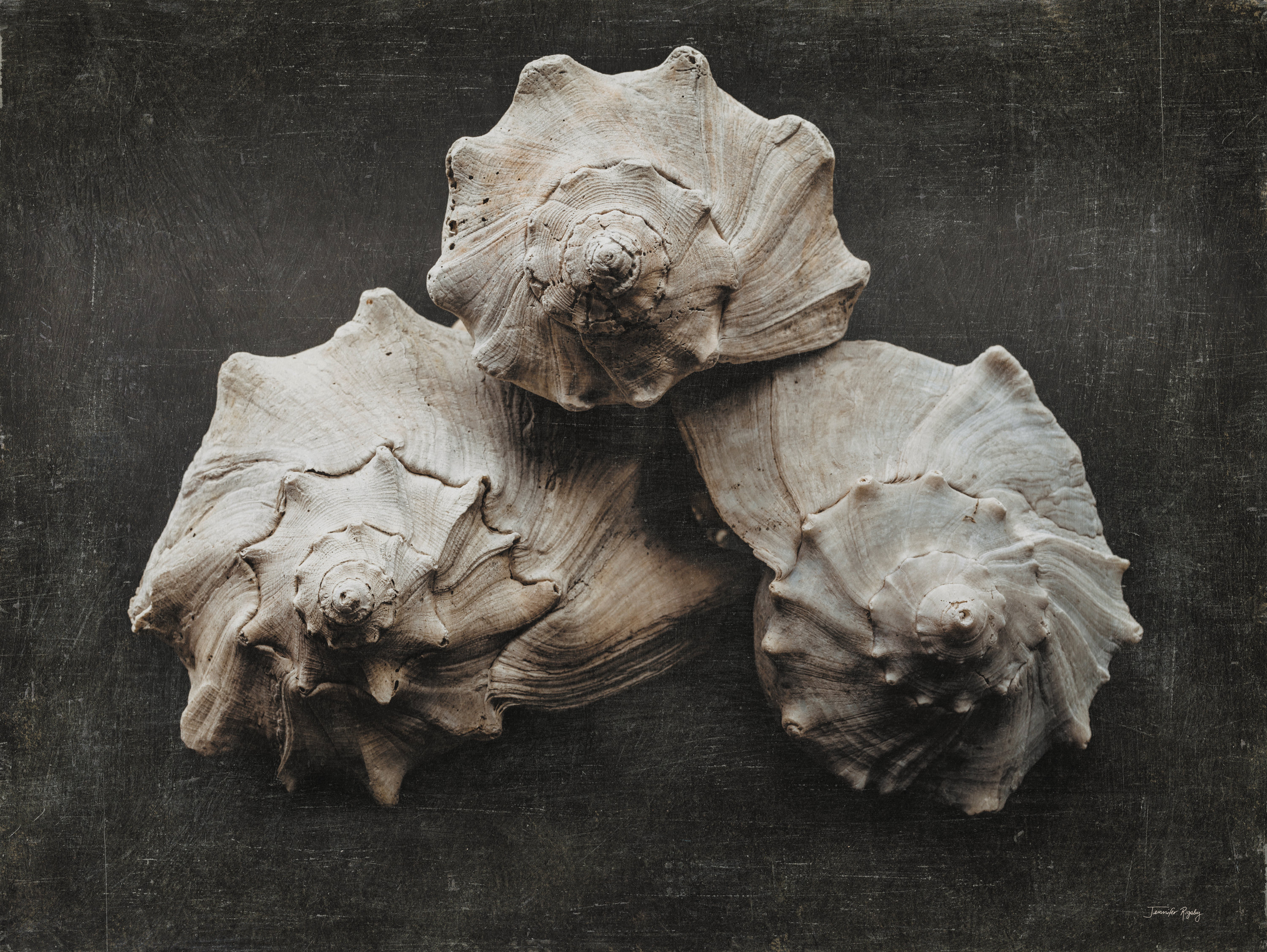 Highland Dunes The Weathered Sea I On Canvas by Jennifer Rigsby Print ...