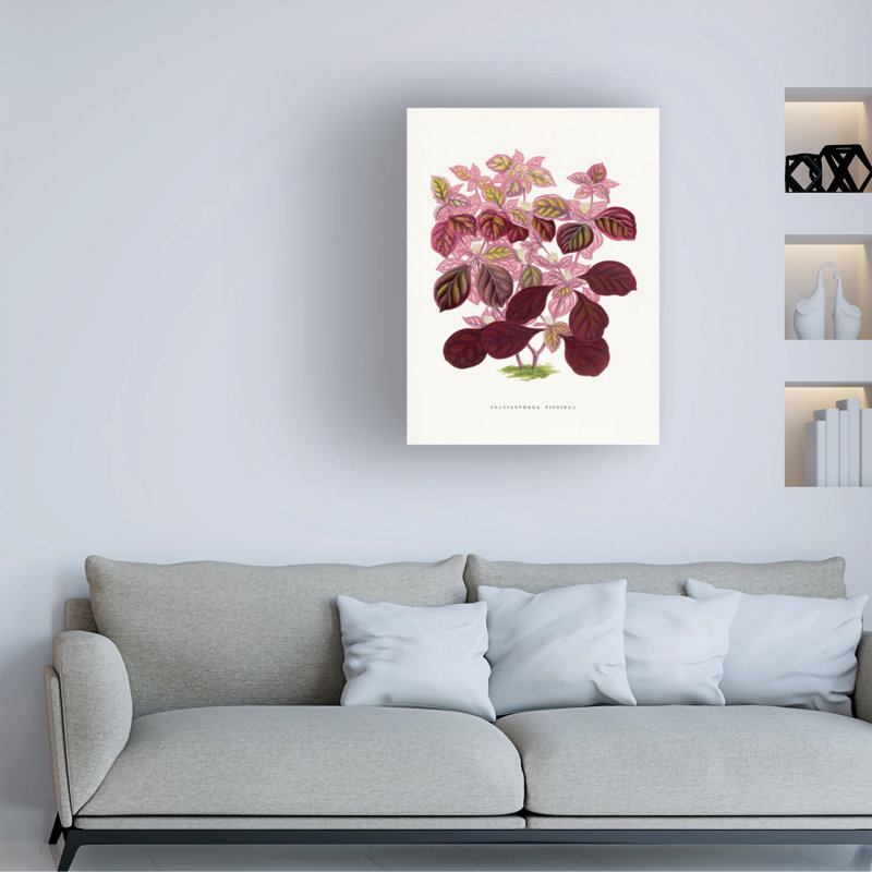 Illustration sur toile de bolologien, Les Plantes et une feuille de Teleianthera rose, H 19 po x l 14 po