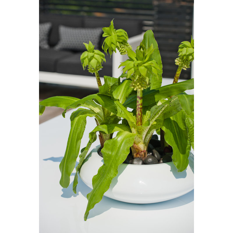 Burdetta Handmade Planter