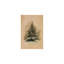 Nostalgique Moody rustique à feuilles persistantes, thème de l'arbre à pin, art mural sans cadre, 16 x 16
