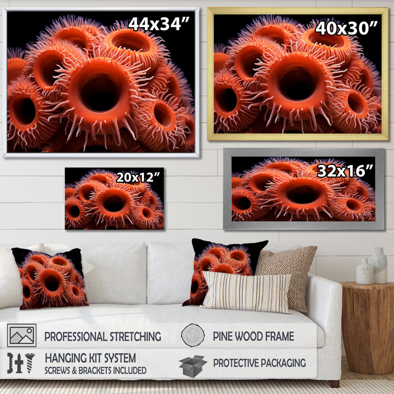 " Orange Giant Plumose Anemone ", White Single Picture Framed, 24" H x 32" W x 1" D