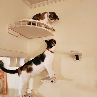 Étagère pour chat avec 3 marches pour chat