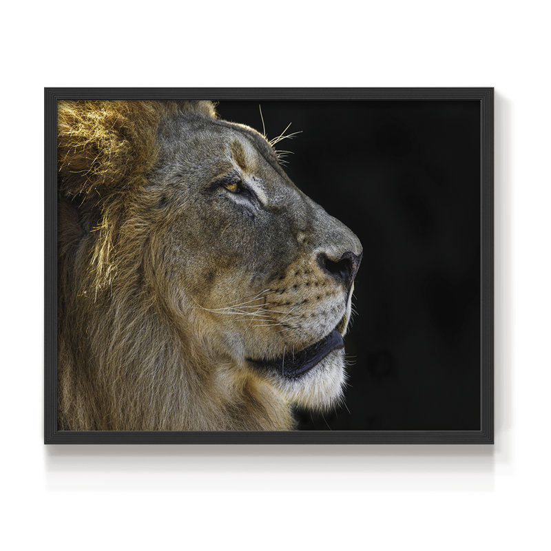 The King - Reproduction encadrée - Restickable, H 22 po x l 28 po, Noir, noir, noir, noir