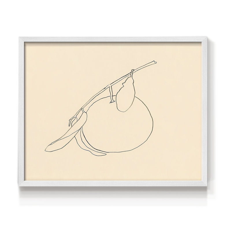 «Citrus Contour II», reproduction encadrée, H 8 po x l 10 po, Blanc