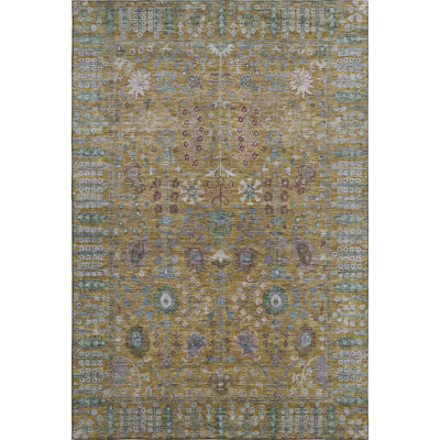 Premium Machine Washable Mayfield AMF2231 Global Rug