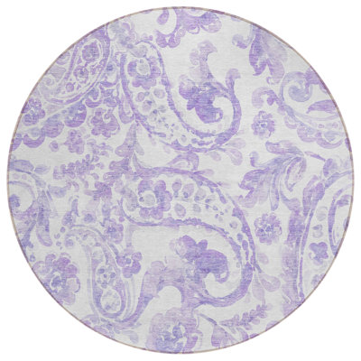 Solveigh Washable Paisley Indoor / Outdoor Rug