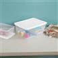 Sterilite Crate