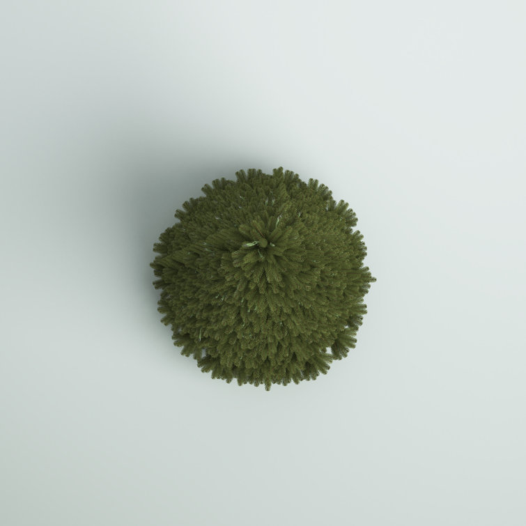 Melrose Moss Ball 5.5 - The Good Tree