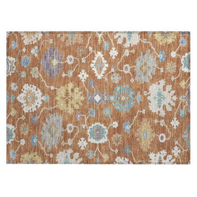 Machine Washable Indoor/Outdoor Chantille ACN2532 Traditional Rug