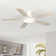 Karlena 52'' Ceiling Fan With Led Lights And Remote Control