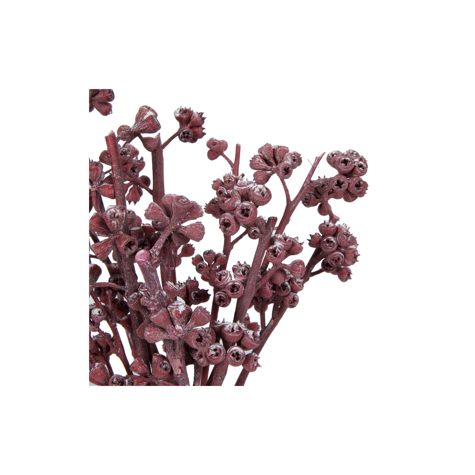 13'' Branch, Red