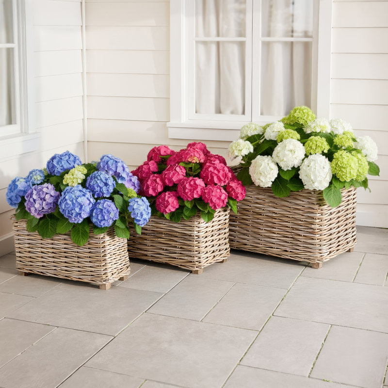 Handmade Pot Planter