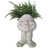 Blanc antique