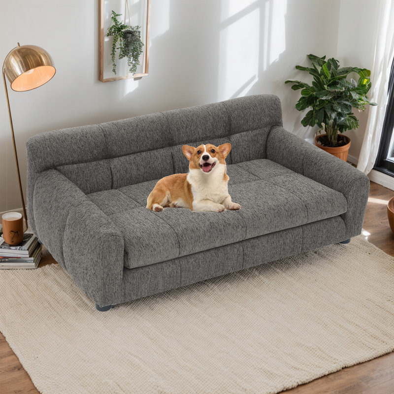 Canapé pour animaux de compagnie , Gris foncé