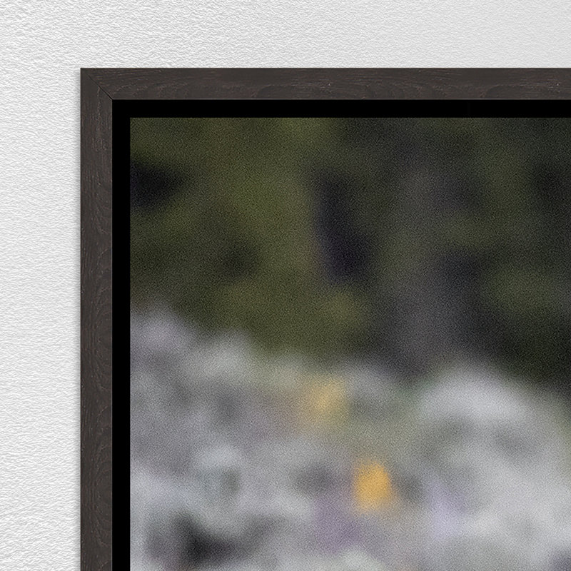 First Spring Print by Curt & Stacy Howell, Image Brush Gel, 31.75" H x 46.75" W
