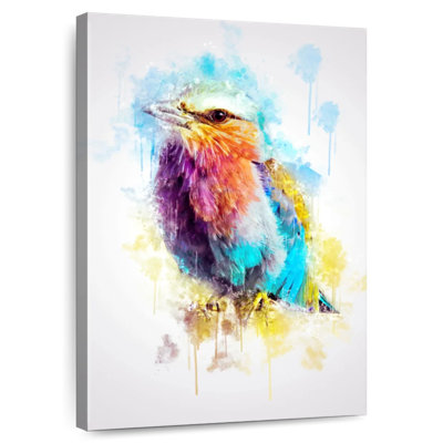Brampt Lilac Breasted Roller
