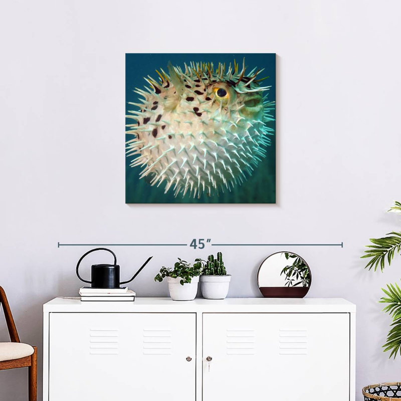 Brampt Puffer Fish, 24" H x 24" W