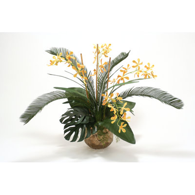 Orchid Arrangement in Pot