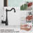 VIBRANTBATH Kitchen Faucet-71002364