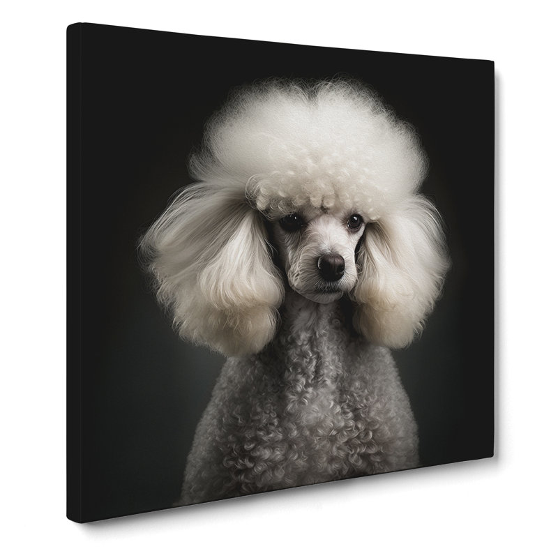 Poodle - Wrapped Canvas, 50cm H x 50cm W x 3cm D