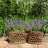 Hand Woven Wicker Laundry Basket With Handles