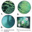 «Green Teal Fern Flowers», impression sur toile-1232777536-1232777537