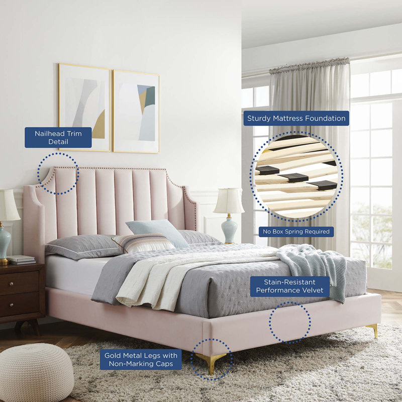 Pink Velvet Queen Platform Bed with Tufted Headboard and Nailhead Trim