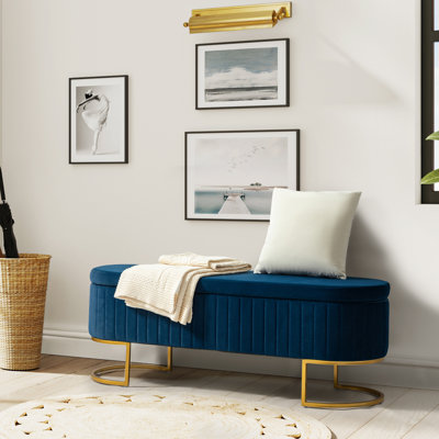 Easthampton 49.2'' W " Modern Storage Bench