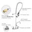 Aquaterior Commercial Kitchen Faucet with Sprayer 44" Height Wall Mount Double Handle