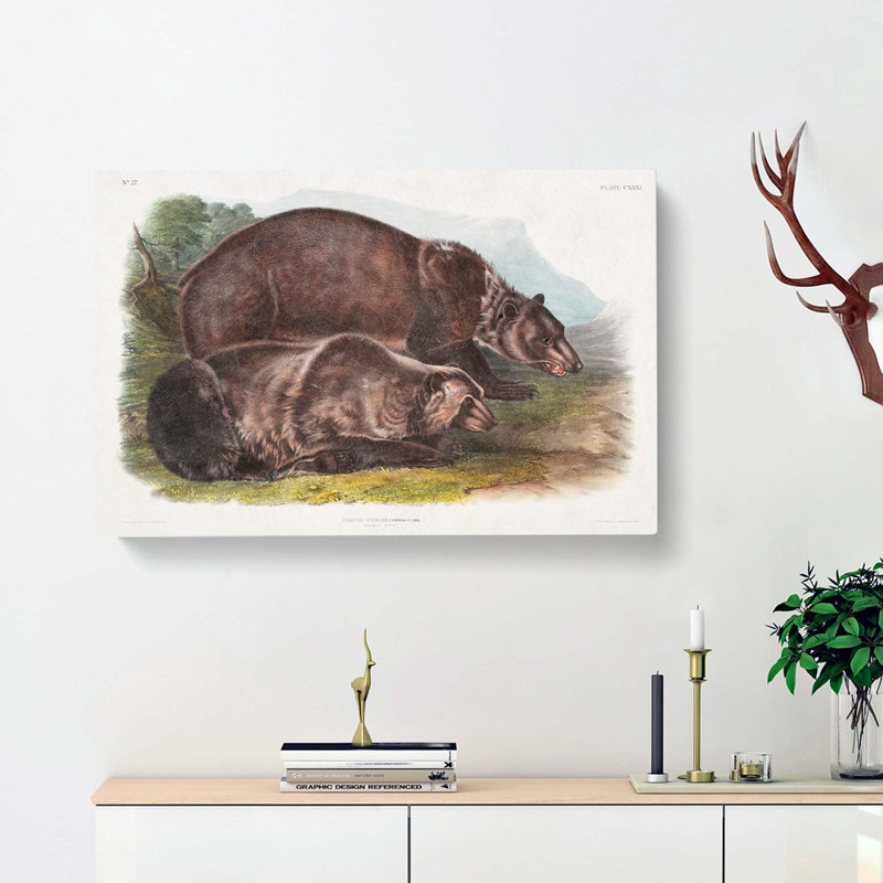 Grizzly Bears by J.W. Audubon - Wrapped Canvas, 35cm H x 50cm W x 3cm D