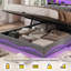 Upholstered Velvet Lift Up Storage Bed-600823488-600823495