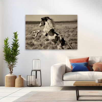 Poney sauvage peint - Photographie, chevaux, art