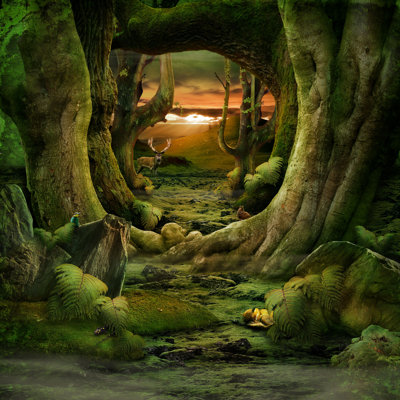 Angeline " Misty Romantic Forest Landscape " by Piolka