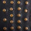 Studded Leather Trim-49396833