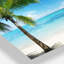 Coastal Palm Trees Sea, photographie sur toile - Palmiers et mer-113138769-33267665