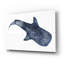 «Shark Whale 1» par Stellar Design Studio, art mural en verre acrylique-1328225181