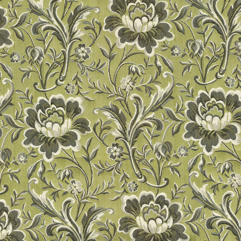 Tissu Régime, Aloès